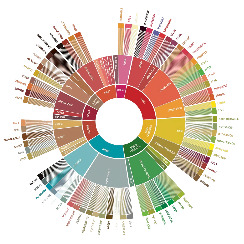 Color wheel with flavor descriptions on a white background