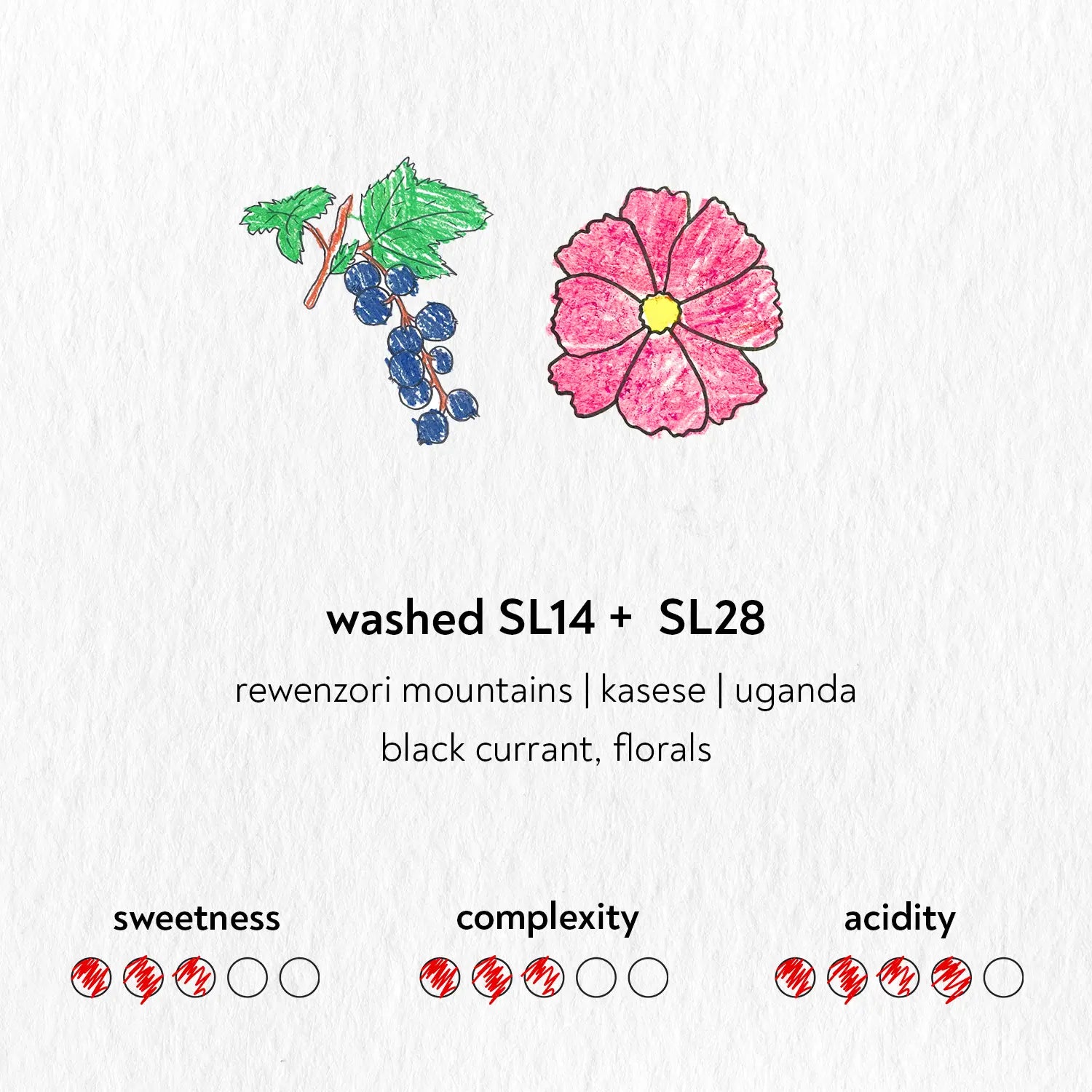 Washed SL14+SL28