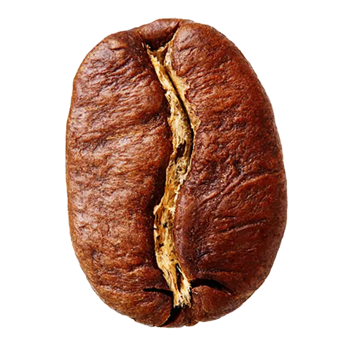 Roasted coffee bean on a white background