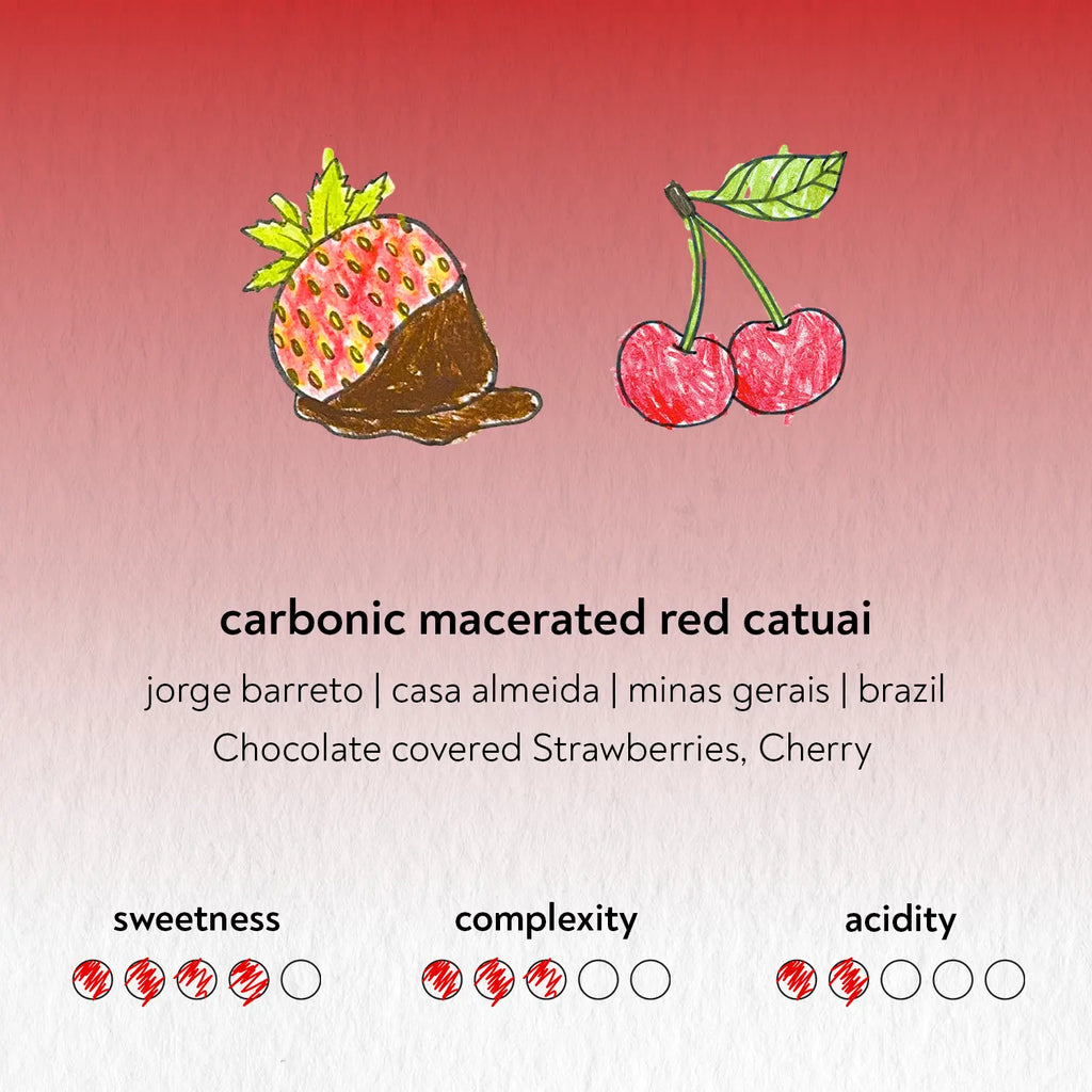 Illustration of chocolate-covered strawberries and cherries with coffee flavor description on a red and pink gradient background.