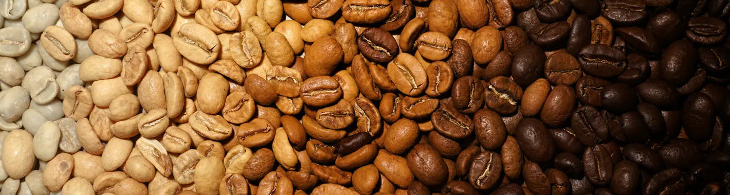 Gradient of roasted coffee beans from light to dark brown.