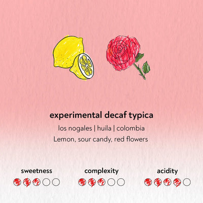 Experimental Decaf Typica