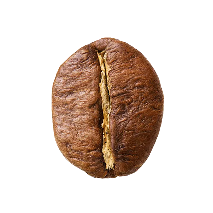 Single coffee bean on a white background
