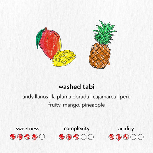 Washed Tabi