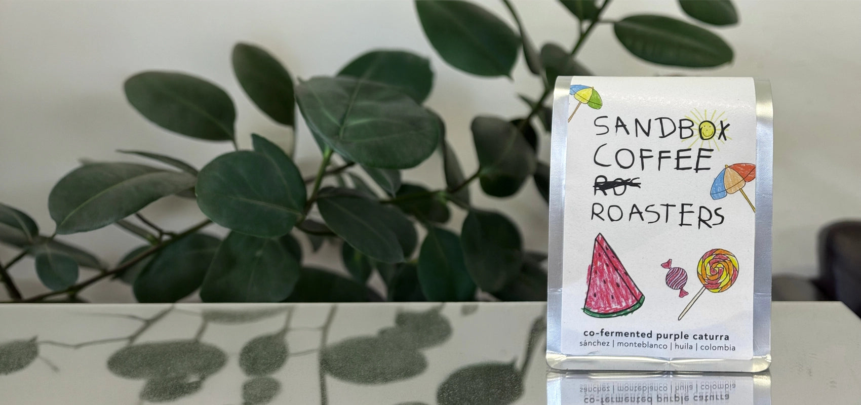 Sandbox Coffee Roasters package on a surface with a plant in the background